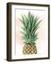 Pineapple on Coral I-Grace Popp-Framed Art Print