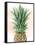 Pineapple on Coral I-Grace Popp-Framed Stretched Canvas