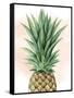 Pineapple on Coral I-Grace Popp-Framed Stretched Canvas