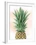 Pineapple on Coral I-Grace Popp-Framed Art Print