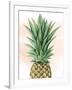 Pineapple on Coral I-Grace Popp-Framed Art Print