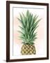 Pineapple on Coral I-Grace Popp-Framed Art Print