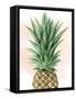 Pineapple on Coral I-Grace Popp-Framed Stretched Canvas