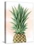 Pineapple on Coral I-Grace Popp-Stretched Canvas