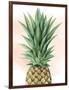 Pineapple on Coral I-Grace Popp-Framed Art Print