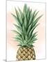 Pineapple on Coral I-Grace Popp-Mounted Art Print