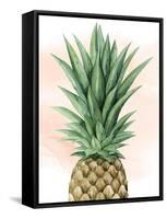 Pineapple on Coral I-Grace Popp-Framed Stretched Canvas