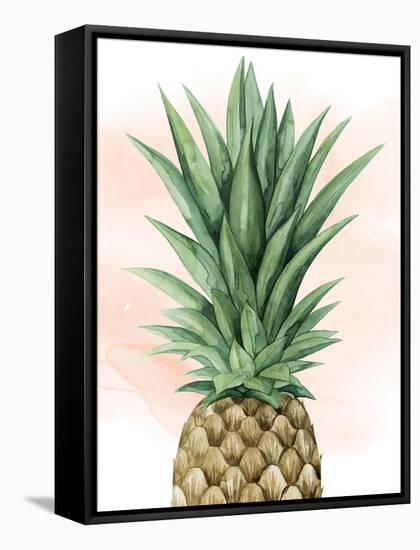 Pineapple on Coral I-Grace Popp-Framed Stretched Canvas