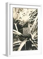 Pineapple on Plant-null-Framed Art Print