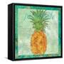 Pineapple Paradise-Bee Sturgis-Framed Stretched Canvas