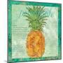 Pineapple Paradise-Bee Sturgis-Mounted Art Print