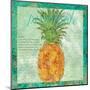 Pineapple Paradise-Bee Sturgis-Mounted Art Print