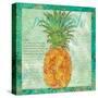 Pineapple Paradise-Bee Sturgis-Stretched Canvas