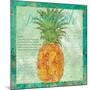 Pineapple Paradise-Bee Sturgis-Mounted Art Print
