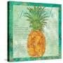 Pineapple Paradise-Bee Sturgis-Stretched Canvas