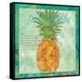 Pineapple Paradise-Bee Sturgis-Framed Stretched Canvas