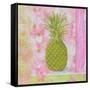 Pineapple Pink and Green Flower-Megan Aroon Duncanson-Framed Stretched Canvas