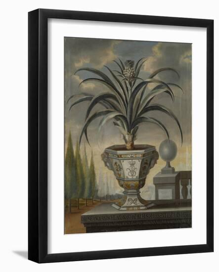 Pineapple Plant, 1729-David von Coln-Framed Giclee Print