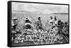 Pineapple Plantation in Hawaii Photograph - Hawaii-Lantern Press-Framed Stretched Canvas