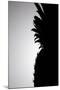 Pineapple Silhouette-Monika Burkhart-Mounted Photographic Print