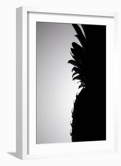 Pineapple Silhouette-Monika Burkhart-Framed Photographic Print