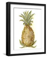 Pineapple Sketch I-Ethan Harper-Framed Art Print