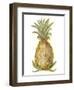 Pineapple Sketch I-Ethan Harper-Framed Art Print