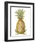 Pineapple Sketch I-Ethan Harper-Framed Art Print