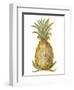 Pineapple Sketch I-Ethan Harper-Framed Art Print