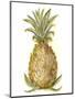 Pineapple Sketch I-Ethan Harper-Mounted Art Print