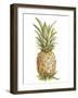 Pineapple Sketch II-Ethan Harper-Framed Art Print