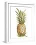 Pineapple Sketch II-Ethan Harper-Framed Art Print