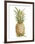 Pineapple Sketch II-Ethan Harper-Framed Art Print