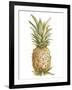 Pineapple Sketch II-Ethan Harper-Framed Art Print