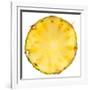 Pineapple Slice-Steve Gadomski-Framed Photographic Print