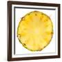 Pineapple Slice-Steve Gadomski-Framed Photographic Print