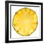 Pineapple Slice-Steve Gadomski-Framed Photographic Print