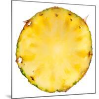 Pineapple Slice-Steve Gadomski-Mounted Photographic Print