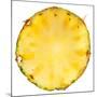 Pineapple Slice-Steve Gadomski-Mounted Photographic Print