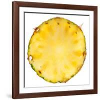 Pineapple Slice-Steve Gadomski-Framed Photographic Print