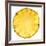 Pineapple Slice-Steve Gadomski-Framed Photographic Print