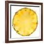 Pineapple Slice-Steve Gadomski-Framed Photographic Print