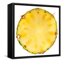 Pineapple Slice-Steve Gadomski-Framed Stretched Canvas