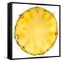 Pineapple Slice-Steve Gadomski-Framed Stretched Canvas