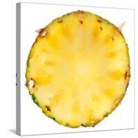 Pineapple Slice-Steve Gadomski-Stretched Canvas