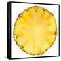 Pineapple Slice-Steve Gadomski-Framed Stretched Canvas