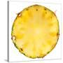 Pineapple Slice-Steve Gadomski-Stretched Canvas