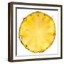 Pineapple Slice-Steve Gadomski-Framed Photographic Print