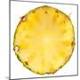 Pineapple Slice-Steve Gadomski-Mounted Photographic Print