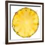 Pineapple Slice-Steve Gadomski-Framed Photographic Print